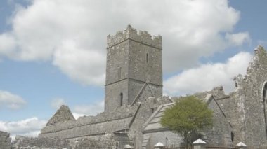 clare abbey yakınındaki ennis, co. clare - İrlanda kalıntıları