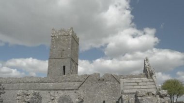 clare abbey yakınındaki ennis, co. clare - İrlanda kalıntıları