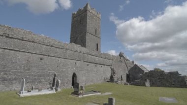 clare abbey yakınındaki ennis, co. clare - İrlanda kalıntıları