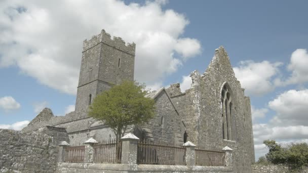 Ruins of Clare Abbey near Ennis, Co. Clare - Ireland — Stock Video