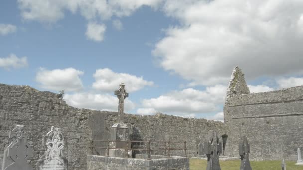 Ruinas de la Abadía de Clare cerca de Ennis, Co. Clare - Irlanda — Vídeo de stock