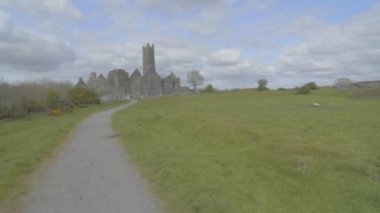ünlü İrlandalı landmark, quin abbey, county clare, İrlanda