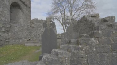 ünlü İrlandalı landmark, quin abbey, county clare, İrlanda
