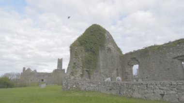 ünlü İrlandalı landmark, quin abbey, county clare, İrlanda