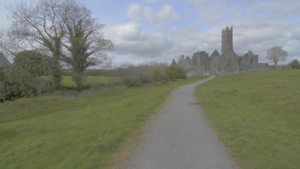 Famoso hito irlandés, abadía quin, clare del condado, Irlanda — Vídeo de stock