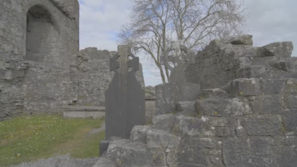 Διάσημο ορόσημο ιρλανδική quin Αβαείο, county clare, Ιρλανδία — Αρχείο Βίντεο