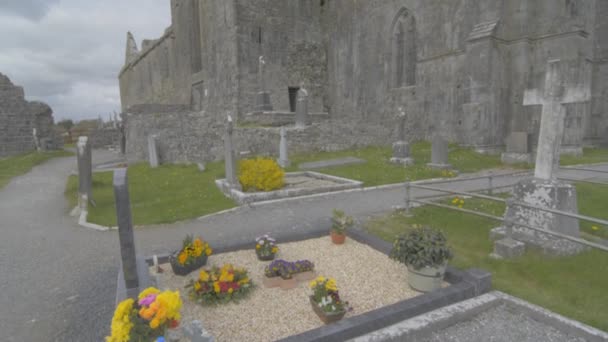 Berühmtes irisches Wahrzeichen, Quin Abtei, County Clare, Irland — Stockvideo