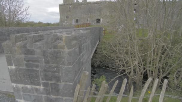 Ünlü İrlandalı landmark, quin abbey, county clare, İrlanda — Stok video