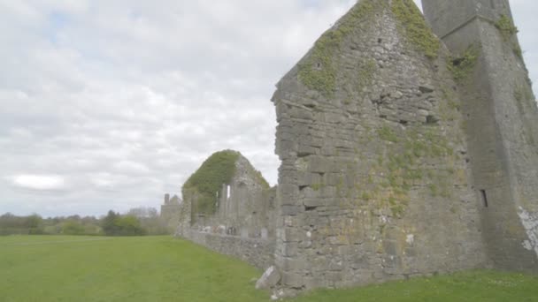 Famoso hito irlandés, abadía quin, clare del condado, Irlanda — Vídeos de Stock