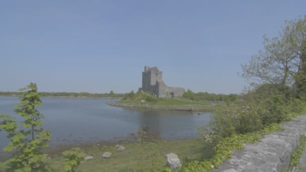 Castelo de Dunguaire perto de Kinvarra em Co. Galway, Irlanda — Vídeo de Stock