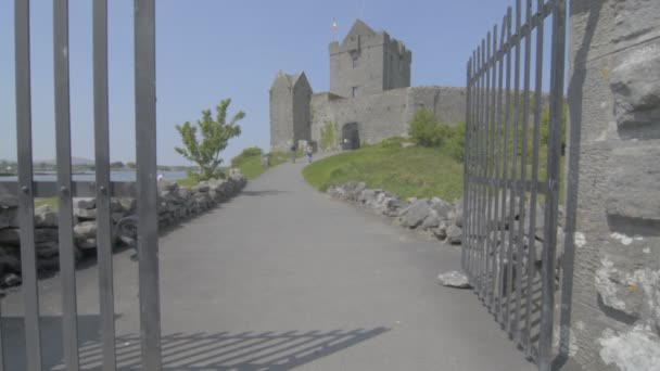 Castelo de Dunguaire perto de Kinvarra em Co. Galway, Irlanda — Vídeo de Stock