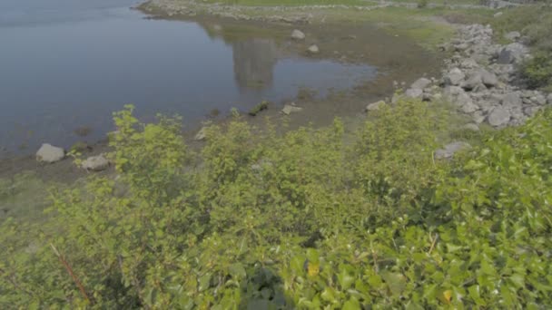 Dunguaire castle in de buurt van kinvarra in co. galway, Ierland — Stockvideo