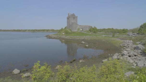 Castelo de Dunguaire perto de Kinvarra em Co. Galway, Irlanda — Vídeo de Stock