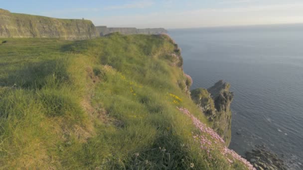 Ünlü Cliffs, Moher günbatımı, Co. Clare, İrlanda - yaban Atlantik yol yol içinde — Stok video