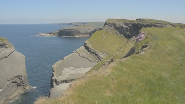 Loop Head Peninsula, West Clare, Irlanda che mostra rocce e scogliere scolpite dall'Oceano Atlantico. Strada Atlantica Selvaggia. Profilo video piatto . — Video Stock