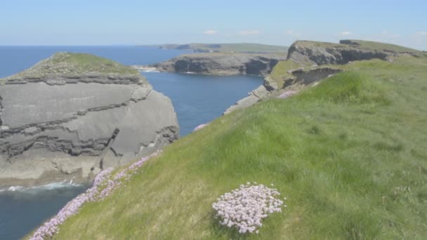 Loop Head Peninsula, West Clare, Irlanda mostrando rocas y acantilados esculpidos por el Océano Atlántico. Ruta de la ruta costera del Atlántico. Perfil de vídeo plano . — Vídeo de stock
