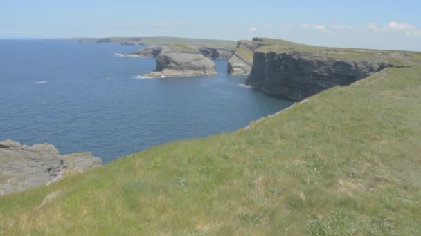 Loop Head Halbinsel, West Clare, Irland mit Felsen und Klippen, die vom Atlantik geformt wurden. Wilder atlantischer Weg. Flachbildfernseher. — Stockvideo