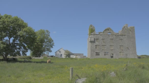 Старинный разрушенный замок Лимане, Килфорда, графство Клэр, Ирландия — стоковое видео