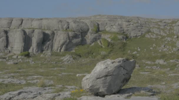 Τοπίο διάσημο Burren National Park στη County Clare, Ιρλανδία - επίπεδη προφίλ βίντεο — Αρχείο Βίντεο