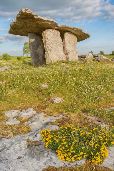 5000 Jahre alte polnabrone dolmen in burren, co. clare - irland — Stockfoto