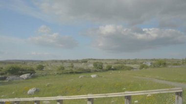 5000 yıl Burren, Milli Parkı, Co. Clare - İrlanda - eski Polnabrone Dolmen düz video profili.