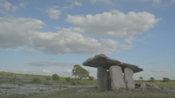 5000 years old Polnabrone Dolmen in Burren, National Park, Co. Clare - Ireland - Flat video profile. — Stock Video