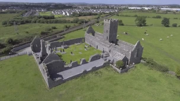 Ruínas aéreas da Abadia de Clare perto de Ennis, Co. Clare - Irlanda — Vídeo de Stock