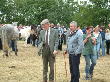 Clare, İrlanda - 23 Haziran 2016: Spancill Hill, İrlanda. Spancil Hill at Fuarı. Her yıl 23 Haziran meydana Spancill Hill adil, İrlanda'nın ve Avrupa'nın en eski tarihi at Fuarı,.