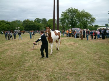 Clare, İrlanda - 23 Haziran 2016: Spancill Hill, İrlanda. Spancil Hill at Fuarı. Her yıl 23 Haziran meydana Spancill Hill adil, İrlanda'nın ve Avrupa'nın en eski tarihi at Fuarı,.