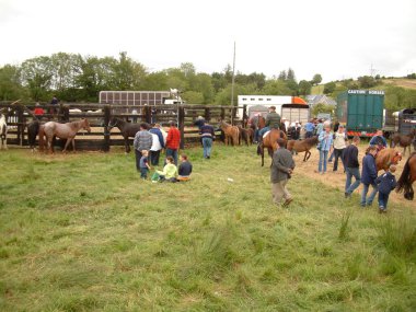 Clare, İrlanda - 23 Haziran 2016: Spancill Hill, İrlanda. Spancil Hill at Fuarı. Her yıl 23 Haziran meydana Spancill Hill adil, İrlanda'nın ve Avrupa'nın en eski tarihi at Fuarı,.