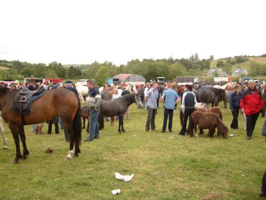 Clare, İrlanda - 23 Haziran 2016: Spancill Hill, İrlanda. Spancil Hill at Fuarı. Her yıl 23 Haziran meydana Spancill Hill adil, İrlanda'nın ve Avrupa'nın en eski tarihi at Fuarı,.