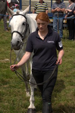 Clare, İrlanda - 23 Haziran 2016: Spancill Hill, İrlanda. Spancil Hill at Fuarı. Her yıl 23 Haziran meydana Spancill Hill adil, İrlanda'nın ve Avrupa'nın en eski tarihi at Fuarı,.