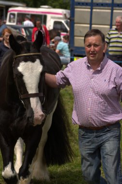 Clare, İrlanda - 23 Haziran 2016: Spancill Hill, İrlanda. Spancil Hill at Fuarı. Her yıl 23 Haziran meydana Spancill Hill adil, İrlanda'nın ve Avrupa'nın en eski tarihi at Fuarı,.