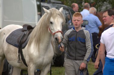 Clare, İrlanda - 23 Haziran 2016: Spancill Hill, İrlanda. Spancil Hill at Fuarı. Her yıl 23 Haziran meydana Spancill Hill adil, İrlanda'nın ve Avrupa'nın en eski tarihi at Fuarı,.