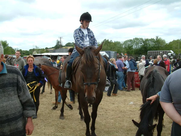 Clare, IRLANDA - 23 de junio de 2016: Spancill Hill, Irlanda. Feria del Caballo de Spancil Hill. Spancill Hill Fair, la feria histórica de caballos más antigua de Irlanda y Europa, que se celebra anualmente el 23 de junio . —  Fotos de Stock