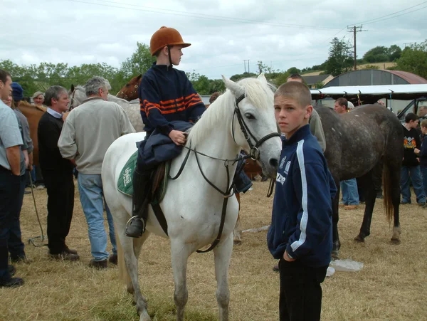 Clare, irland - 23. juni 2016: spancill hill, irland. Spandau-Hügel Pferdemarkt. spancill hill fair, Irlands und Europas ältester historischer Pferdemarkt, der jährlich am 23. Juni stattfindet. — Stockfoto