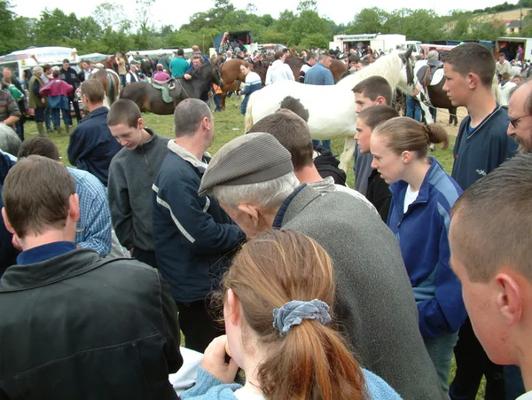 Clare, Ireland - 23 juni 2016: Spancill Hill, Irland. Spancil Hill Horse Fair. Spancill Fair Hill, Irlands och Europas äldsta historiska horse fair, som inträffar årligen den 23 juni. — Stockfoto