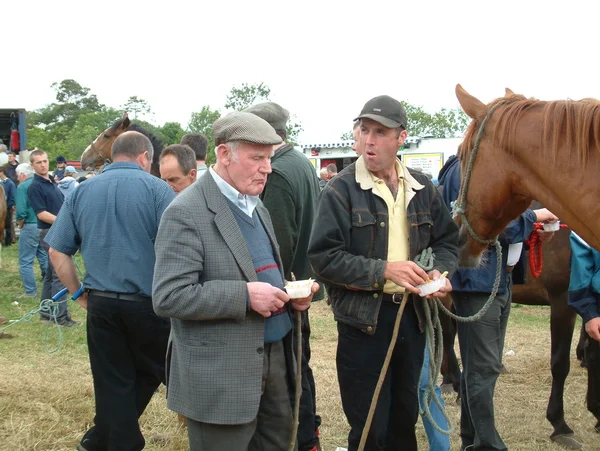 Clare, IRELAND - June 23, 2016: Spancill Hill, Ireland. Spancil Hill  Horse Fair. Spancill Hill Fair, Ireland's and Europe's oldest historic horse fair, which occurs annually on 23 June. — Stock Photo, Image