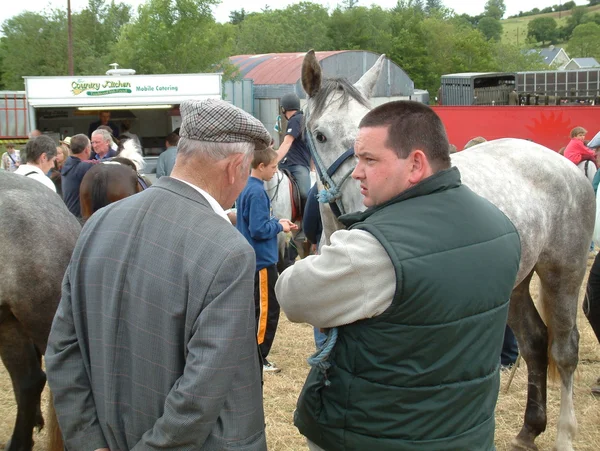 Clare, irland - 23. juni 2016: spancill hill, irland. Spandau-Hügel Pferdemarkt. spancill hill fair, Irlands und Europas ältester historischer Pferdemarkt, der jährlich am 23. Juni stattfindet. — Stockfoto