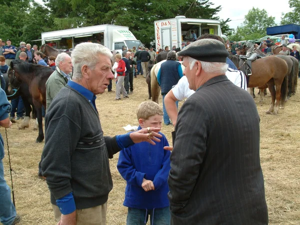 Clare, irland - 23. juni 2016: spancill hill, irland. Spandau-Hügel Pferdemarkt. spancill hill fair, Irlands und Europas ältester historischer Pferdemarkt, der jährlich am 23. Juni stattfindet. — Stockfoto