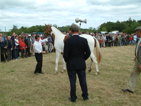 Clare, irland - 23. juni 2016: spancill hill, irland. Spandau-Hügel Pferdemarkt. spancill hill fair, Irlands und Europas ältester historischer Pferdemarkt, der jährlich am 23. Juni stattfindet. — Stockfoto