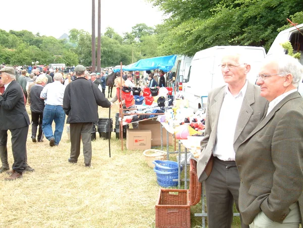 Clare, IRLANDE - 23 juin 2016 : Spancill Hill, Irlande. Spancil Hill Horse Fair. Spancill Hill Fair, la plus ancienne foire aux chevaux historique d'Irlande et d'Europe, qui a lieu chaque année le 23 juin . — Photo