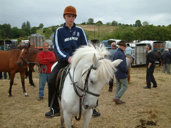 Clare, IRLANDE - 23 juin 2016 : Spancill Hill, Irlande. Spancil Hill Horse Fair. Spancill Hill Fair, la plus ancienne foire aux chevaux historique d'Irlande et d'Europe, qui a lieu chaque année le 23 juin . — Photo