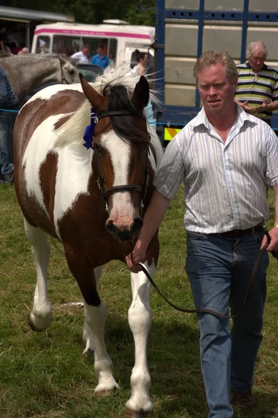 Clare, Irlandia - 23 czerwca 2016 r.: Spancil Hill, Wielka Brytania. Targi koni Spancil Hill. Spancil Hill Fair, Irlandii i Europy najstarsze Targi koni zabytkowego, która pojawia się co roku w dniu 23 czerwca. — Zdjęcie stockowe