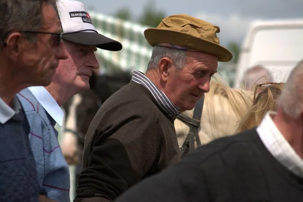 Clare, IRELAND - 23 Juni 2016: Spancill Hill, Irlandia. Spancil Hill Horse Fair. Pameran Bukit Spancill, Pameran Kuda bersejarah tertua di Irlandia dan Eropa, yang diadakan setiap tahun pada 23 Juni . — Stok Foto