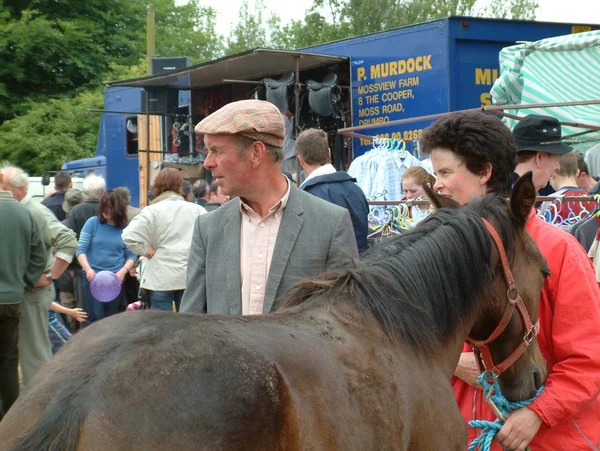 Clare, Írország - 2016. június 23.: Spancill Hill, Írország. Spancil Hill Horse Fair. Spancill Hill tisztességes, Írország és Európa legrégebbi történelmi lovas vásár, amely fordul elő évente június 23-án. Jogdíjmentes Stock Fotók