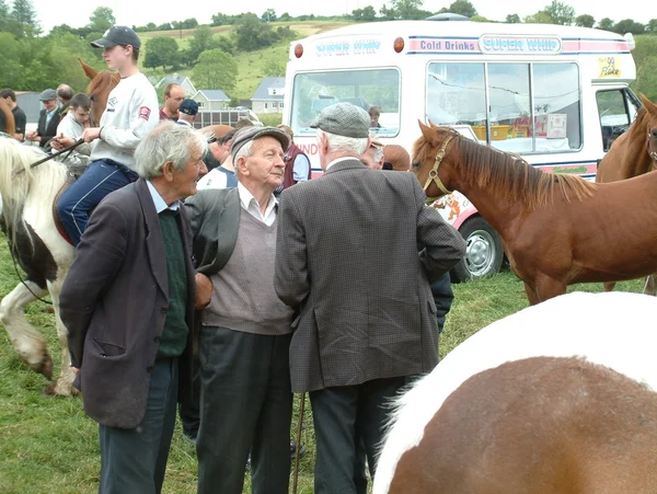 Clare, Írország - 2016. június 23.: Spancill Hill, Írország. Spancil Hill Horse Fair. Spancill Hill tisztességes, Írország és Európa legrégebbi történelmi lovas vásár, amely fordul elő évente június 23-án. Jogdíjmentes Stock Fotók