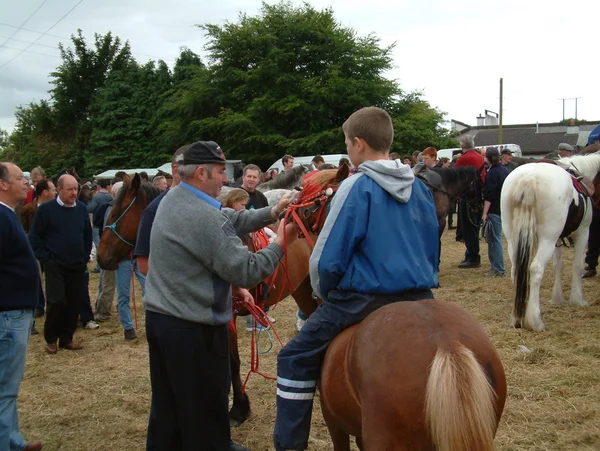 Clare, Írország - 2016. június 23.: Spancill Hill, Írország. Spancil Hill Horse Fair. Spancill Hill tisztességes, Írország és Európa legrégebbi történelmi lovas vásár, amely fordul elő évente június 23-án. Stock Kép