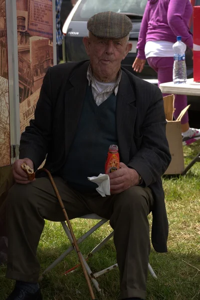 Clare, Írország - 2016. június 23.: Spancill Hill, Írország. Spancil Hill Horse Fair. Spancill Hill tisztességes, Írország és Európa legrégebbi történelmi lovas vásár, amely fordul elő évente június 23-án. Jogdíjmentes Stock Képek