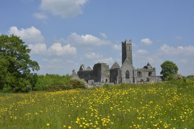 Fotoğraf ünlü İrlandalı Simgesel Yapı, quin abbey, county clare, öfke